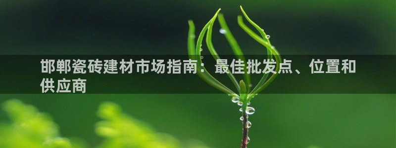 杏鑫平台野马联盟怎么样
