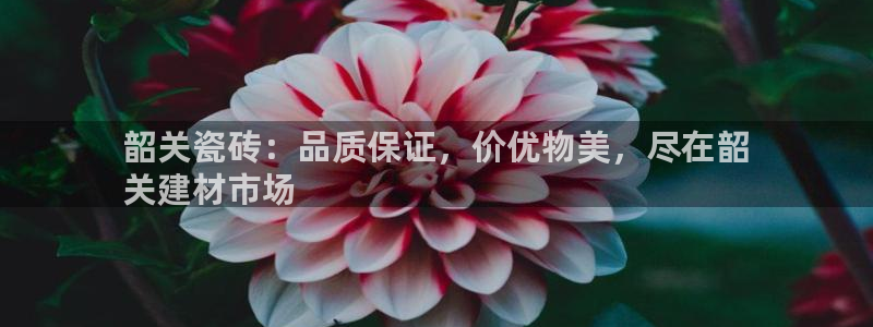 杏鑫平台招商电话号码