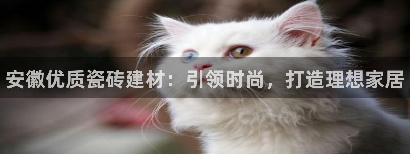 杏鑫娱乐官方网站客户端下载安装