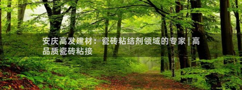 杏鑫官方平台怎么样