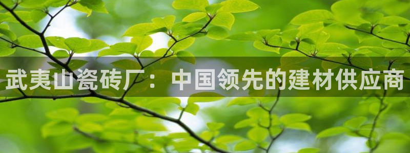 杏鑫娱乐平台测速怎么样