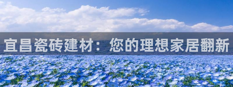 杏鑫平台是黑平台吗知乎