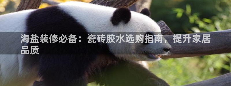 杏鑫官方平台怎么样啊可靠吗