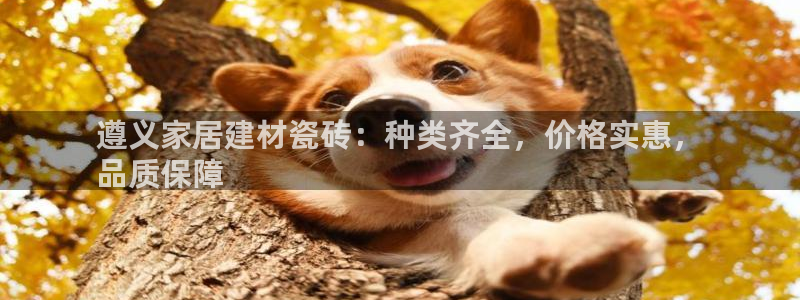 杏鑫注册平台官方网站下载