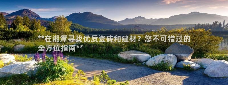 杏鑫注册登录代理公司