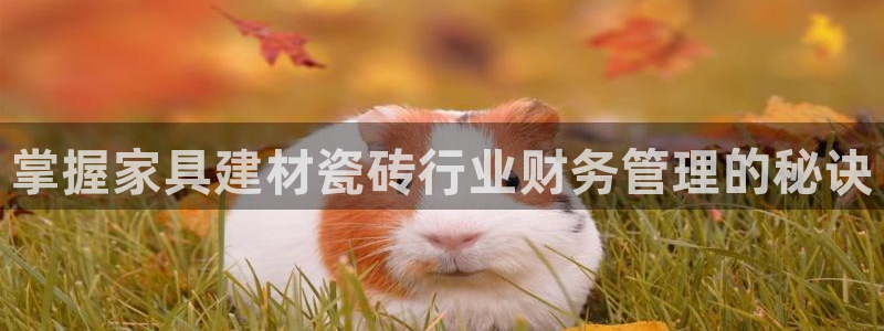 杏鑫平台怎么样黑钱吗
