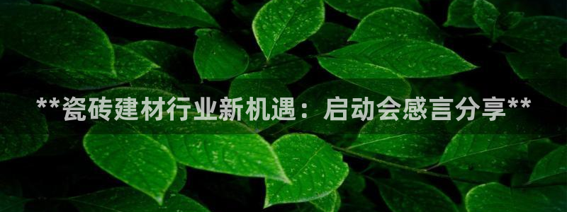 杏鑫平台号7O777