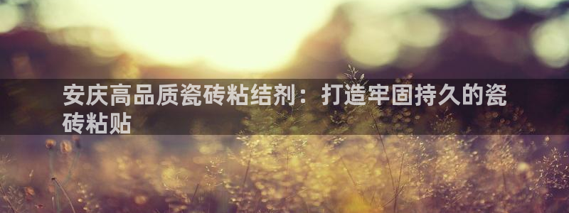 杏鑫官网最新信息