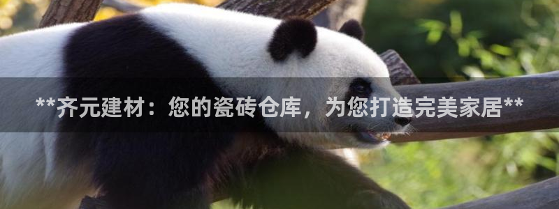 杏鑫官网注册账号是什么意思