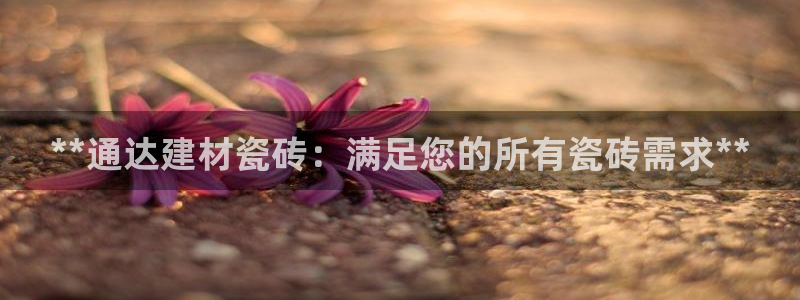 杏鑫官网最新信息