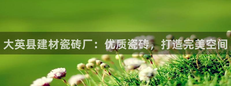 杏鑫平台招商怎么样可靠吗