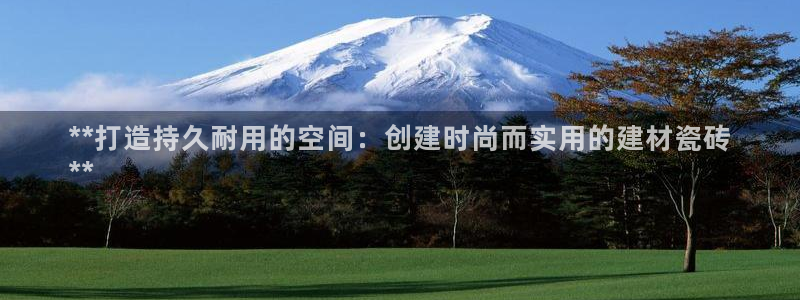 杏鑫3主管