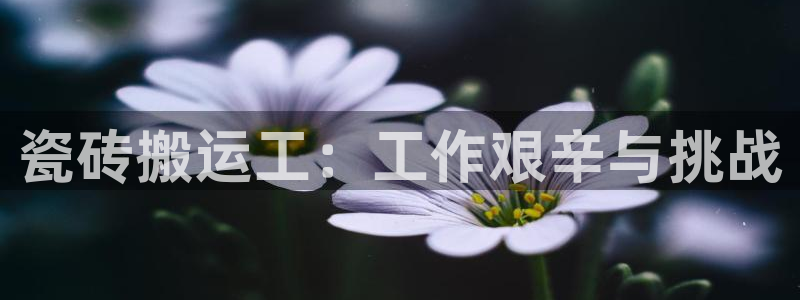 杏鑫平台平台娱乐