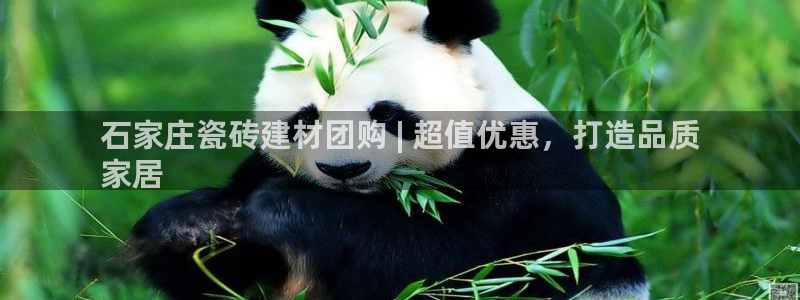 杏鑫平台怎么样