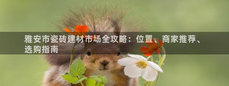 杏鑫娱乐是真的吗还是假的