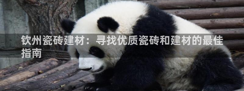 杏鑫平台注册地址在哪里