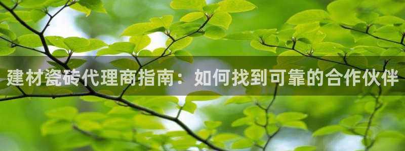 杏鑫平台招商电话