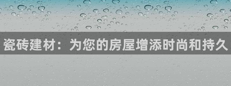 杏鑫3主管