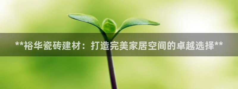 杏鑫娱乐多少年了