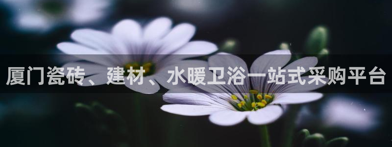 杏鑫官网