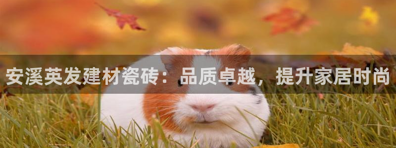 杏鑫平台怎么样黑钱吗安全吗可靠吗