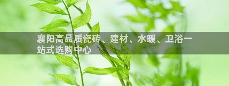杏鑫官方平台怎么样啊