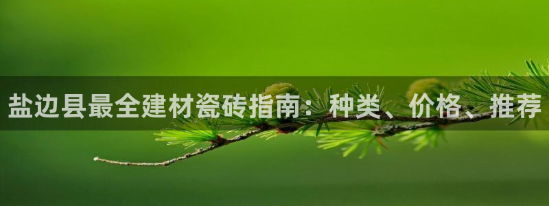 杏鑫官网注册账号是什么样的