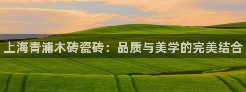 杏鑫有亏损返点吗