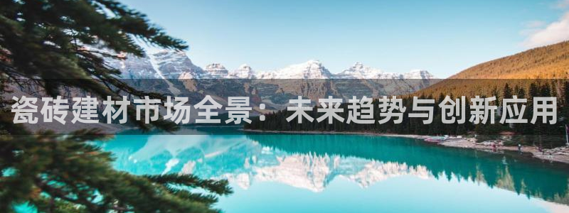 杏鑫平台是黑平台吗是真的吗