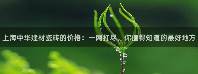 杏鑫娱乐测速