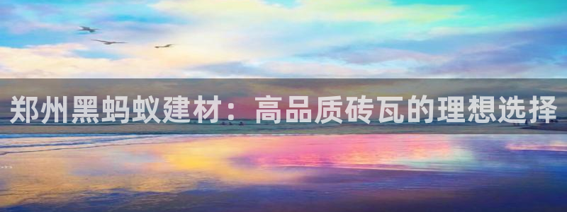 杏鑫平台代理注册流程图