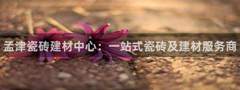 杏鑫注册平台官方网站是什么