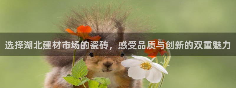 杏鑫平台下载安装