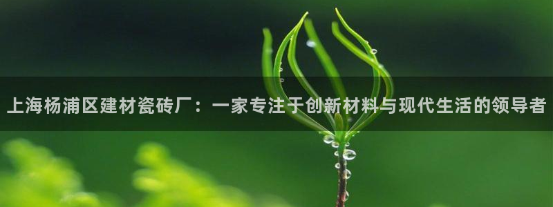 杏鑫娱乐平台测速怎么样