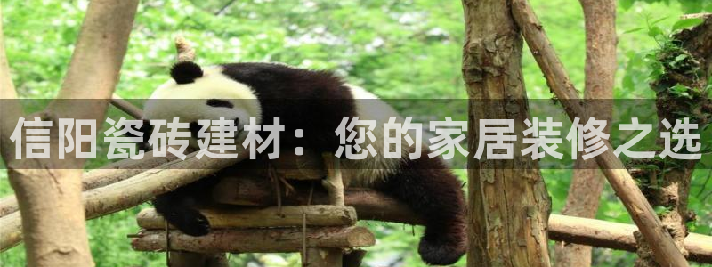 杏鑫平台是黑平台吗是真的吗