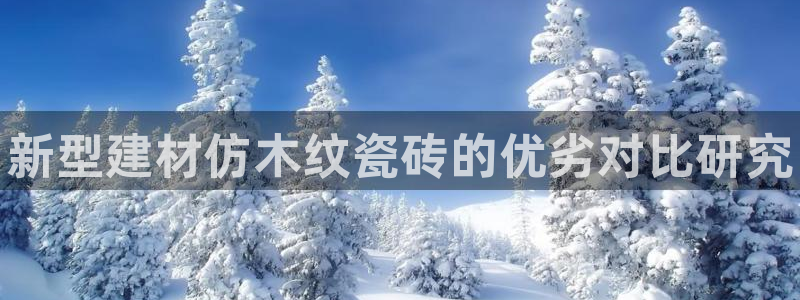 杏鑫官网注册账号是什么意思