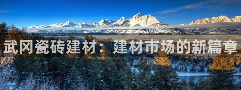 杏鑫平台代理注册多少钱