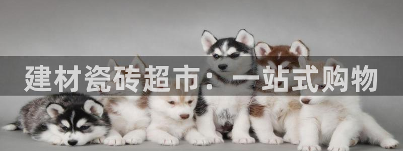 杏鑫平台怎么样黑钱吗安全吗