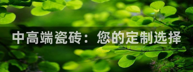 杏鑫平台代理注册多少钱