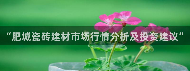 杏鑫平台下载安装