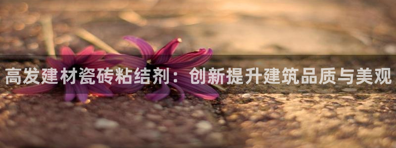 杏鑫平台代理怎么样