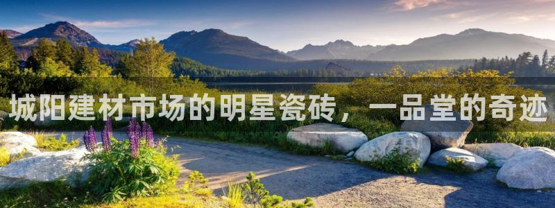 杏鑫注册登录平台