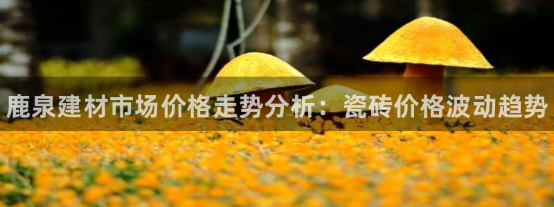 杏鑫平台下载安装