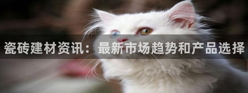 杏鑫平台登录地址