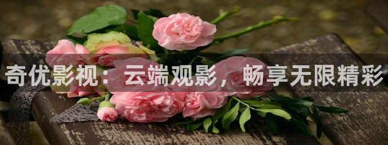 电影樱桃在线视频：奇优影视：云端观影，畅享无限精彩