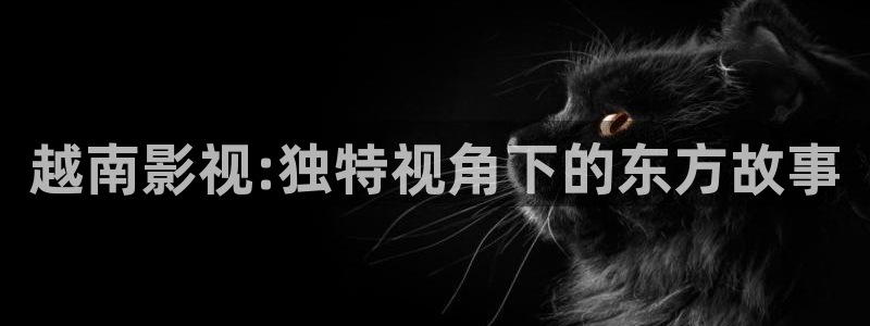 樱桃视频免费观看最新：越南影视:独特视角下的东方故事
