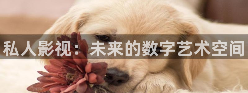 樱桃视频应用下载：私人影视：未来的数字艺术空间