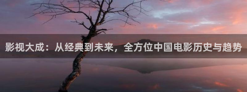 樱桃成熟电影：影视大成：从经典到未来，全方位中国电影历史与趋势