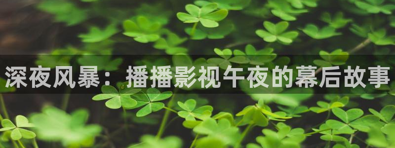 毛线樱桃的钩法视频：深夜风暴：播播影视午夜的幕后故事